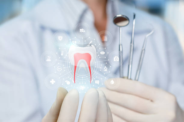 Best Invisalign and Clear Aligners  in Woodland Beach, MI